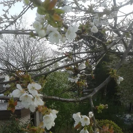 Apartament Ferienwohnung Bleialf *