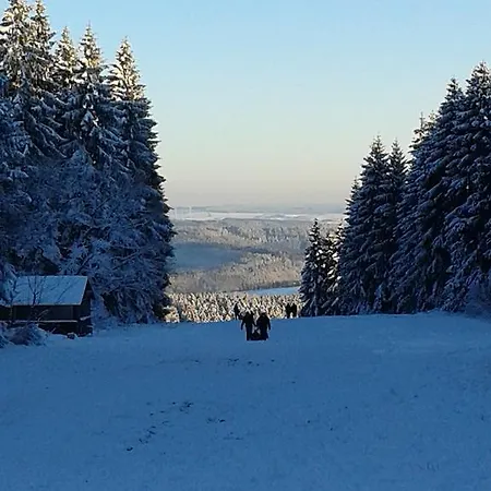 Apartamento Ferienwohnung Bleialf