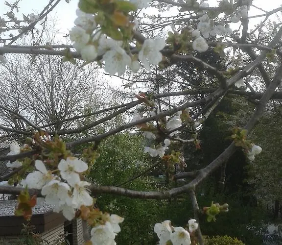 דירה Ferienwohnung Bleialf *